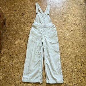 Patagonia organic cotton overalls